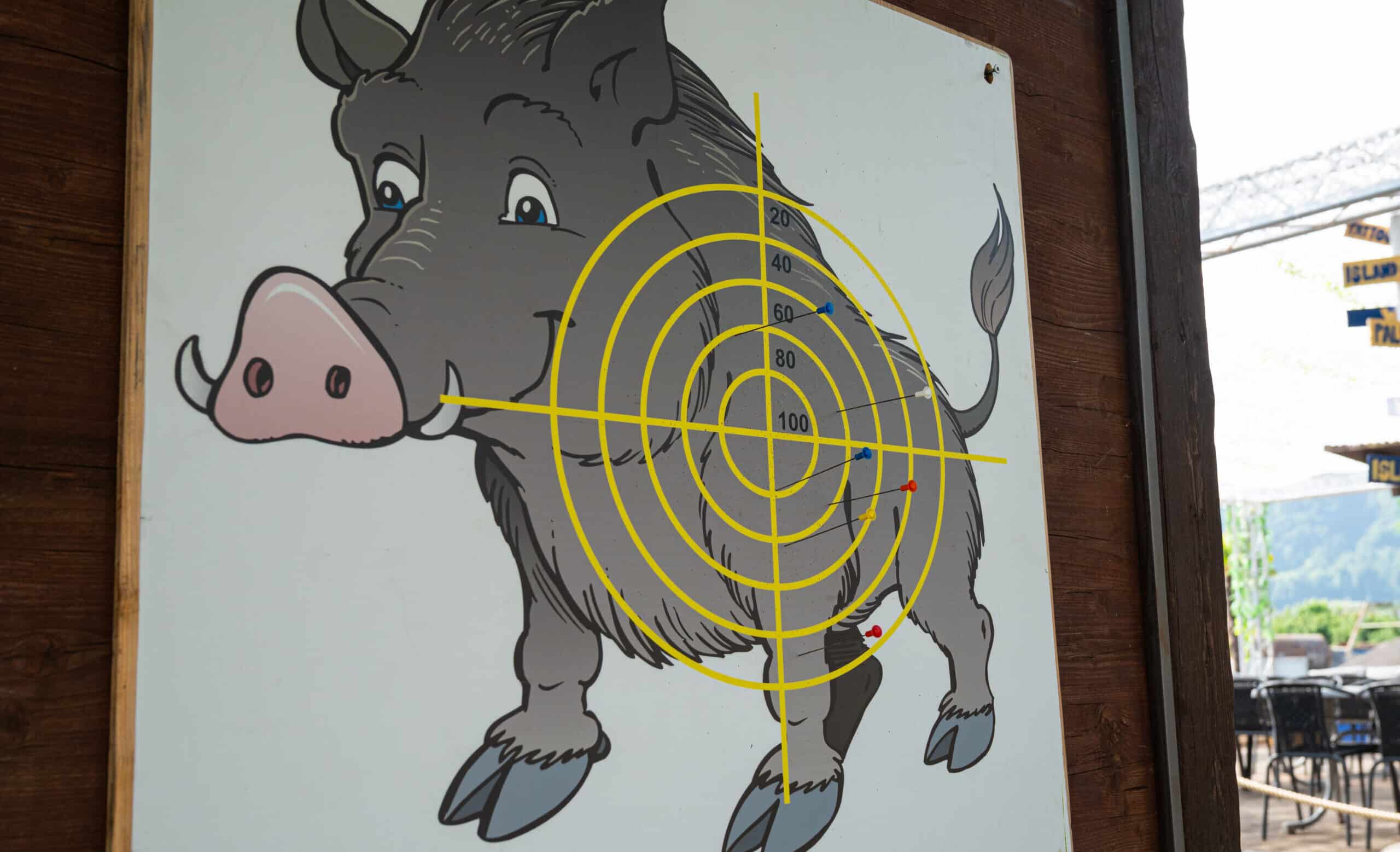 westerngames-olympiade